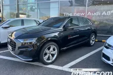 Audi Q8 (4M), 2023