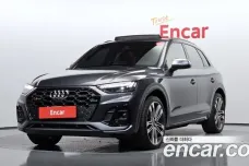 Audi SQ5 (FY), 2021