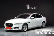 Jaguar XF (X260), 2019