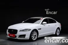 Jaguar XF (X260), 2019