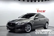 Jaguar XF (X260), 2019