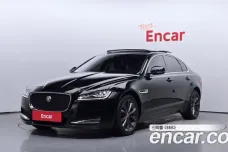 Jaguar XF (X260), 2019