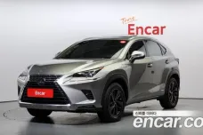 Lexus NX300h, 2019