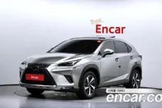 Lexus NX300h, 2019