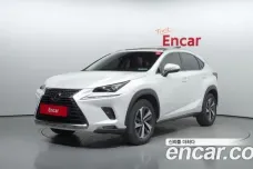 Lexus NX300h, 2019