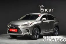 Lexus NX300h, 2019