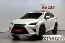 Lexus NX300h, 2019