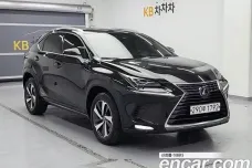 Lexus NX300h, 2019