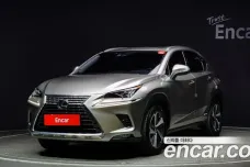 Lexus NX300h, 2019