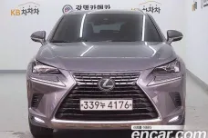 Lexus NX300h, 2021