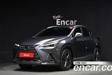 Lexus NX350h Second generation, 2023