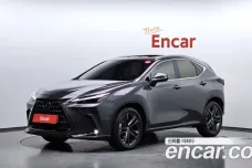 Lexus NX350h Second generation, 2023