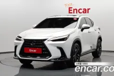 Lexus NX350h Second generation, 2023