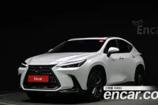 Lexus NX350h Second generation, 2023