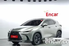 Lexus NX350h Second generation, 2023