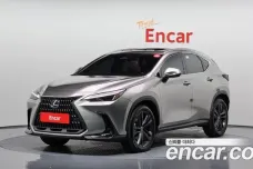 Lexus NX350h Second generation, 2023