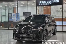 Lexus NX350h Second generation, 2024