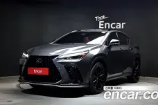 Lexus NX450h + 2nd generation, 2022