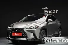 Lexus NX450h + 2nd generation, 2022