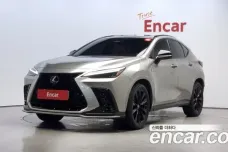 Lexus NX450h + 2nd generation, 2022