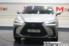 Lexus NX450h + 2nd generation, 2022