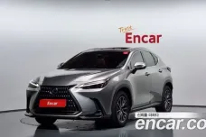 Lexus NX450h + 2nd generation, 2022