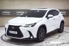 Lexus NX450h + 2nd generation, 2022