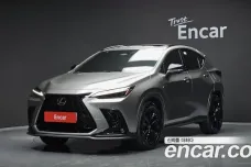 Lexus NX450h + 2nd generation, 2022