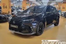 Lexus NX450h + 2nd generation, 2023