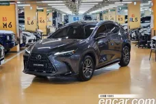 Lexus NX450h + 2nd generation, 2023