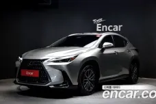 Lexus NX450h + 2nd generation, 2024