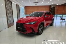 Lexus NX450h + 2nd generation, 2024