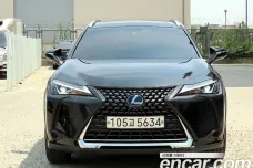 Lexus UX250h, 2020