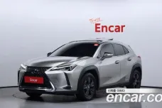 Lexus UX250h, 2021