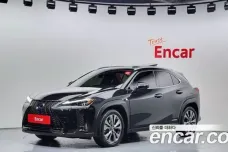 Lexus UX250h, 2021