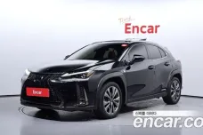 Lexus UX250h, 2021