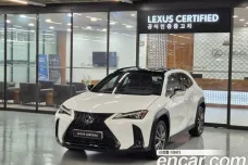 Lexus UX250h, 2023