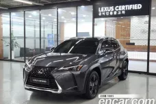 Lexus UX250h, 2023