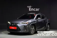 Lexus UX250h, 2024