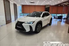 Lexus UX250h, 2024