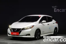 Nissan Leaf (ZE1), 2019