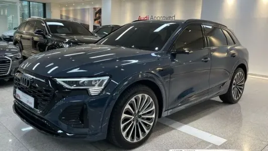 Audi Q8 e-Tron (GE), 2024