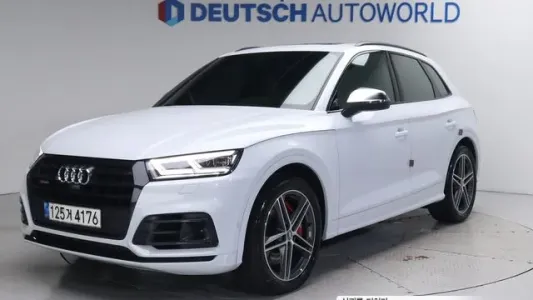 Audi SQ5 (FY), 2020