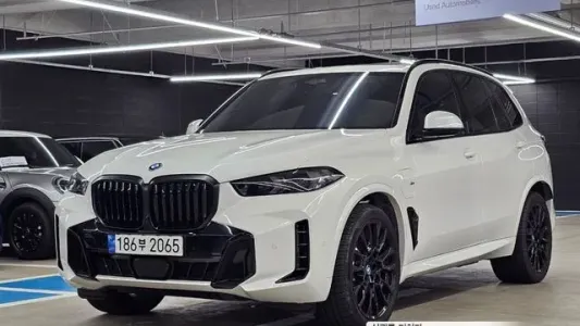 BMW X5 (G05), 2023