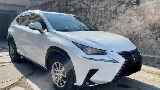 Lexus NX, Бензин, 2019