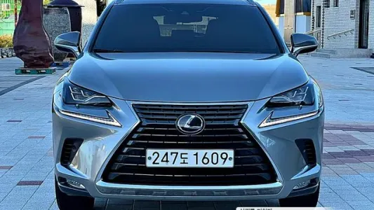 Lexus NX300, 2019