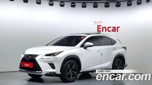 Lexus NX300h, 2018