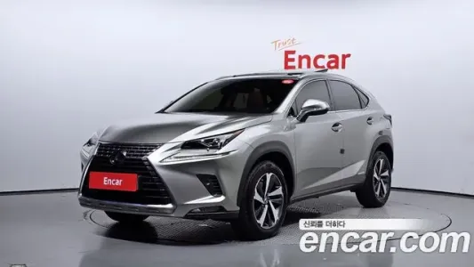 Lexus NX300h, 2018