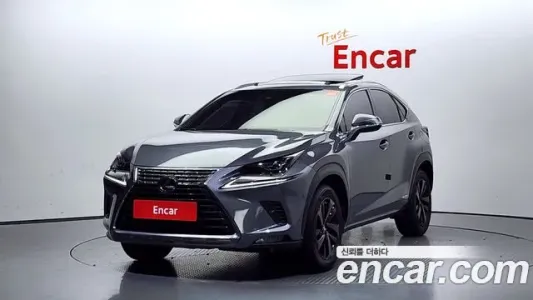 Lexus NX300h, 2018