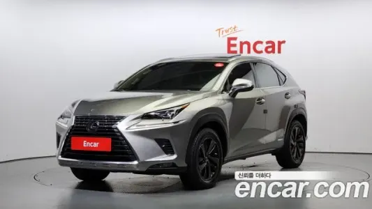 Lexus NX300h, 2019